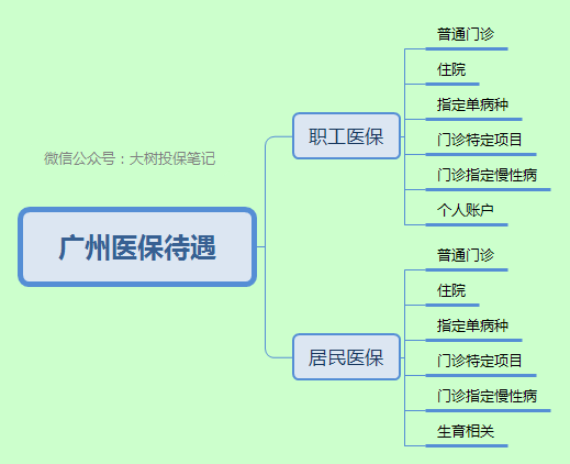 广东省医保招生计划的深度解读与前瞻